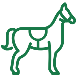 Horseback Riding Near Glendale Valley Campground